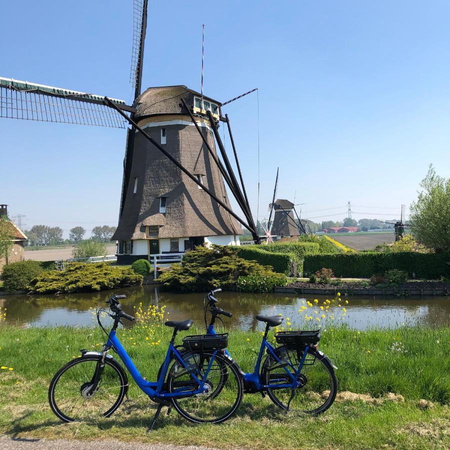 B&B Bleiswijk Luaran gambar